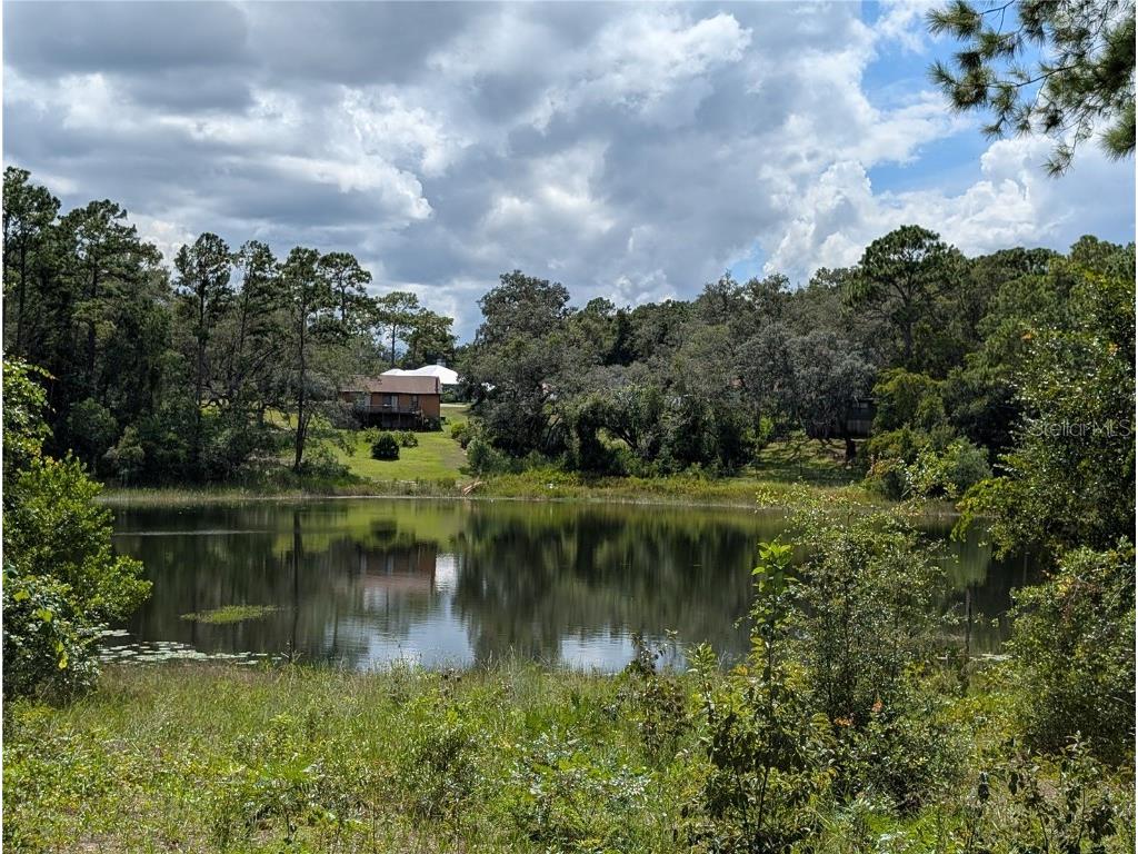 5387 SE 168th Avenue Ocklawaha FL 32179 - Emerald lake G5101702 image16