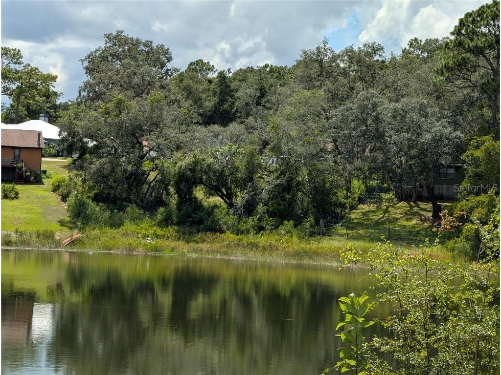 5387 SE 168th Avenue Ocklawaha FL 32179 - Emerald lake G5101702 image17