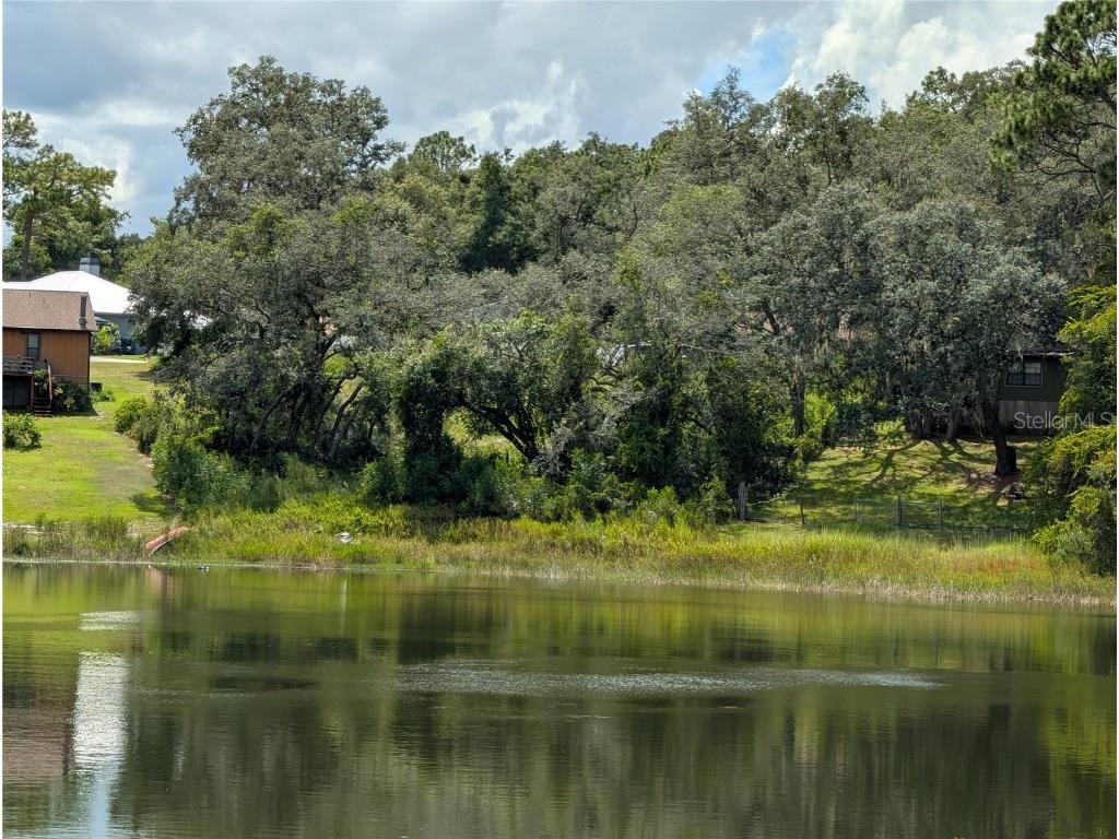 5387 SE 168th Avenue Ocklawaha FL 32179 - Emerald lake G5101702 image18