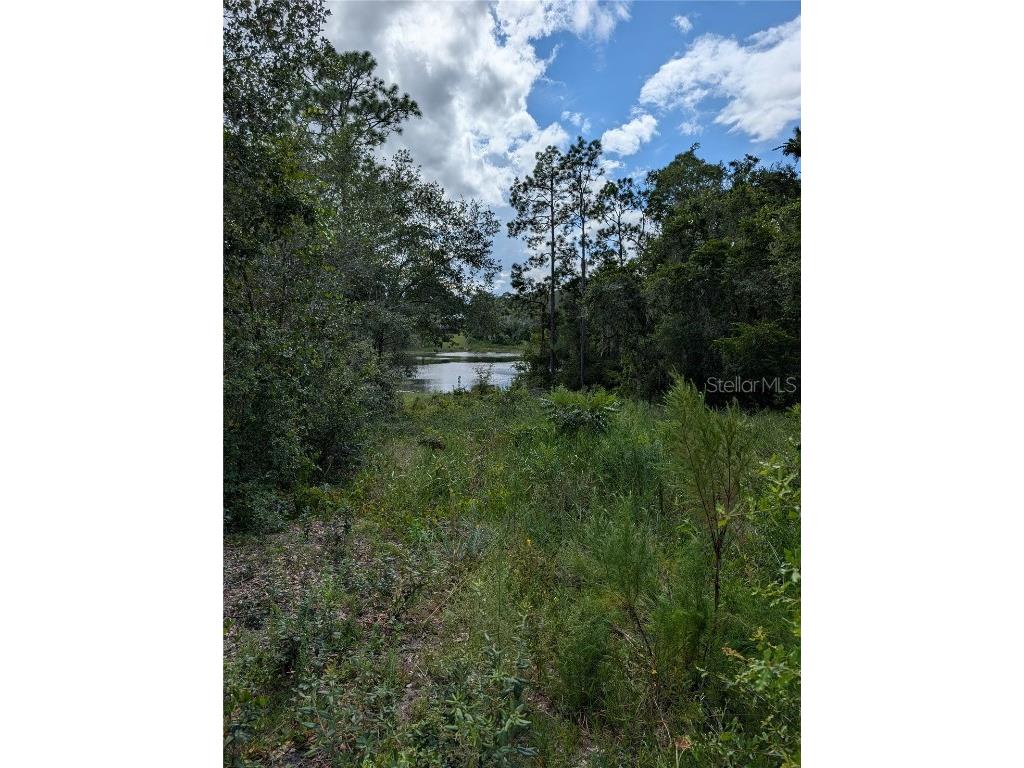 5387 SE 168th Avenue Ocklawaha FL 32179 - Emerald lake G5101702 image20