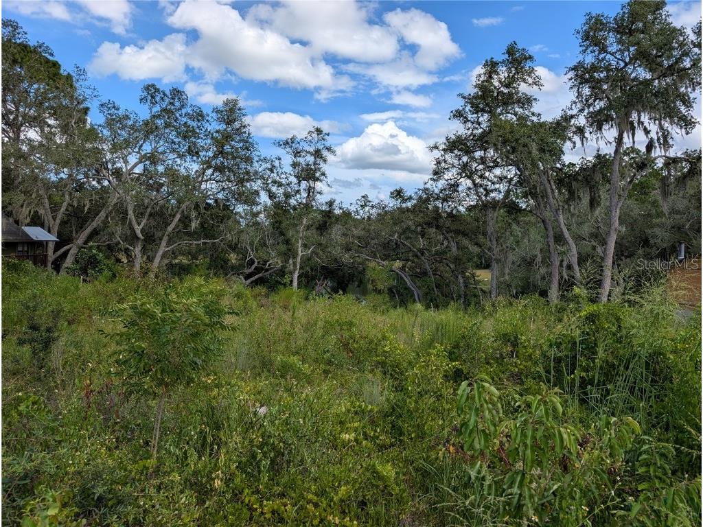 5387 SE 168th Avenue Ocklawaha FL 32179 - Emerald lake G5101702 image21