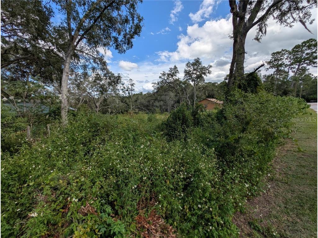 5387 SE 168th Avenue Ocklawaha FL 32179 - Emerald lake G5101702 image22