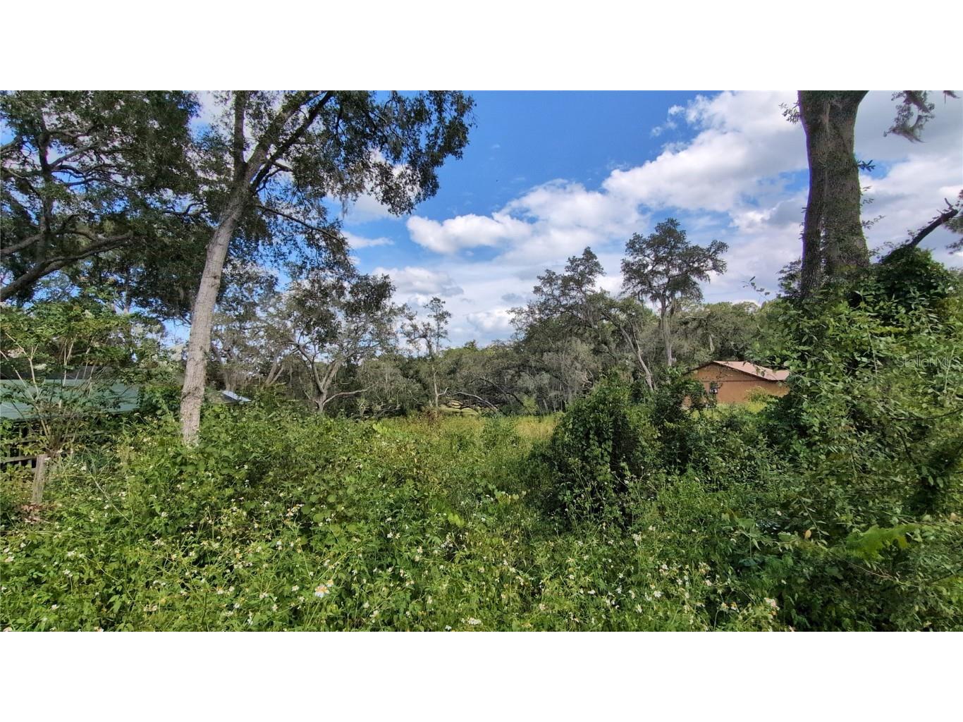 5387 SE 168th Avenue Ocklawaha FL 32179 - Emerald lake G5101702 image23