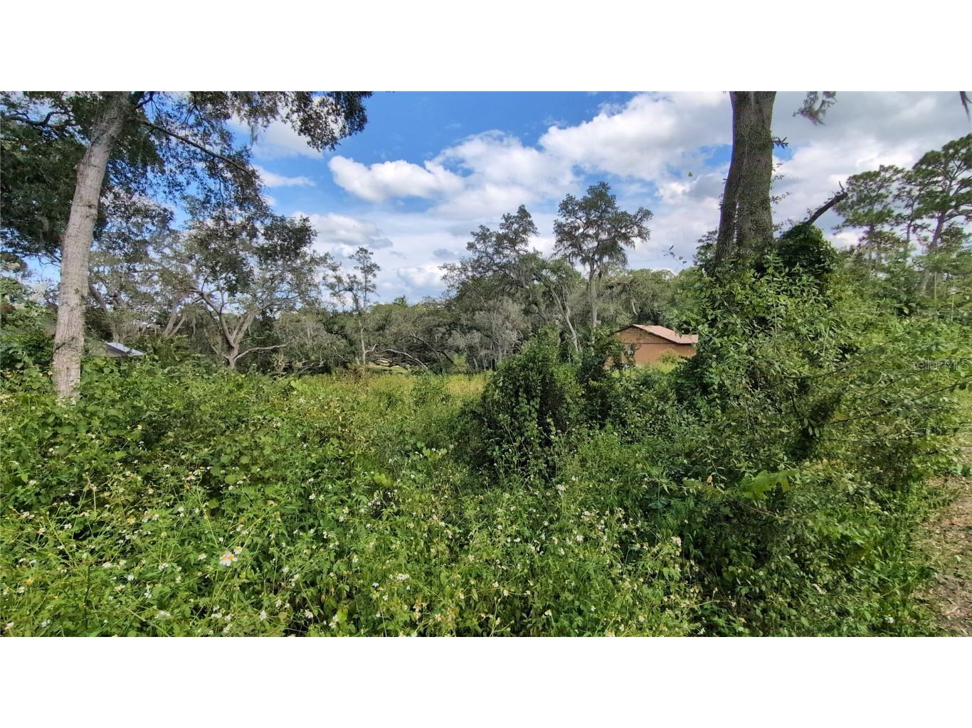 5387 SE 168th Avenue Ocklawaha FL 32179 - Emerald lake G5101702 image24