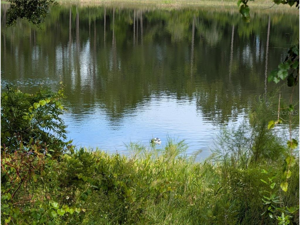 5387 SE 168th Avenue Ocklawaha FL 32179 - Emerald lake G5101702 image3