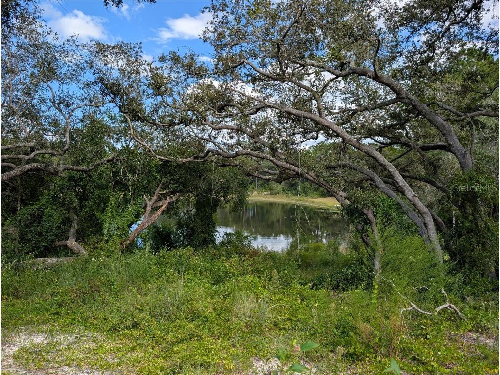 5387 SE 168th Avenue Ocklawaha FL 32179 - Emerald lake G5101702 image5