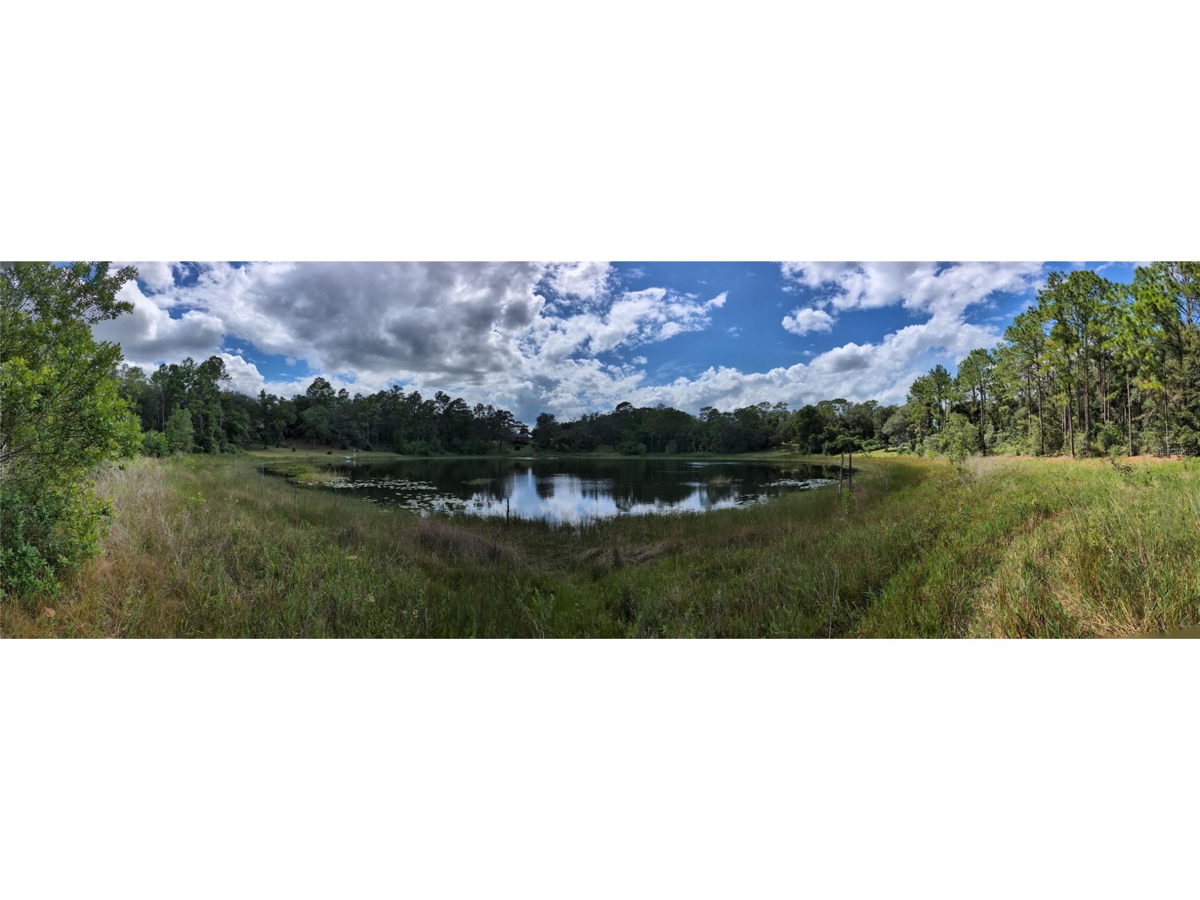 5387 SE 168th Avenue Ocklawaha FL 32179 - Emerald lake G5101702 image9