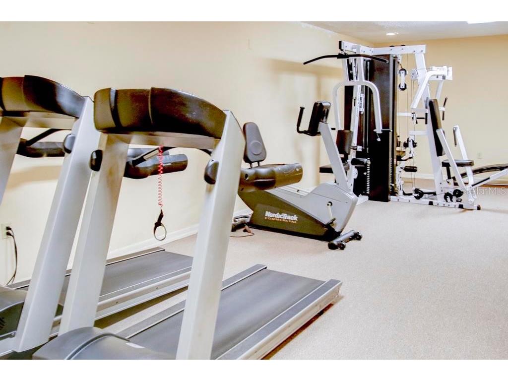 5388 Acacia Trail N Pinellas Park FL 33782 TB8441249 image37