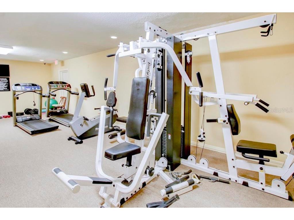 5388 Acacia Trail N Pinellas Park FL 33782 TB8441249 image38