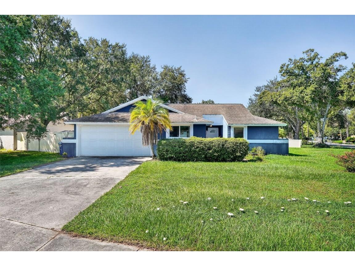 5388 Black Pine Drive Tampa FL 33624 TB8419222 image1