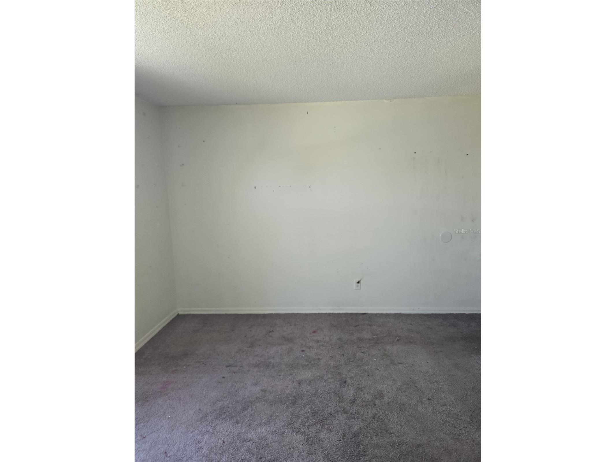 5388 Lonesome Dove Drive Kissimmee FL 34746 O6407575 image3