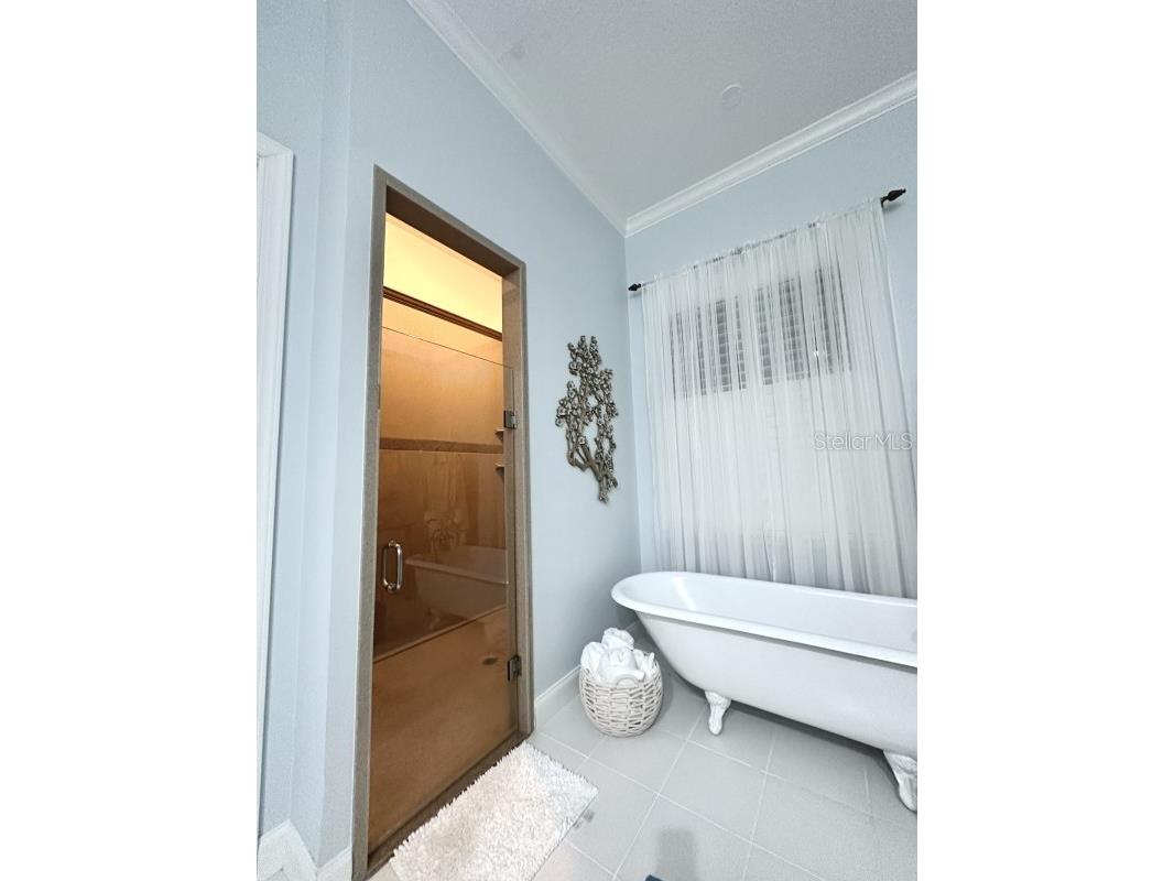 539 Dowling Circle Lady Lake FL 32159 A4680548 image14