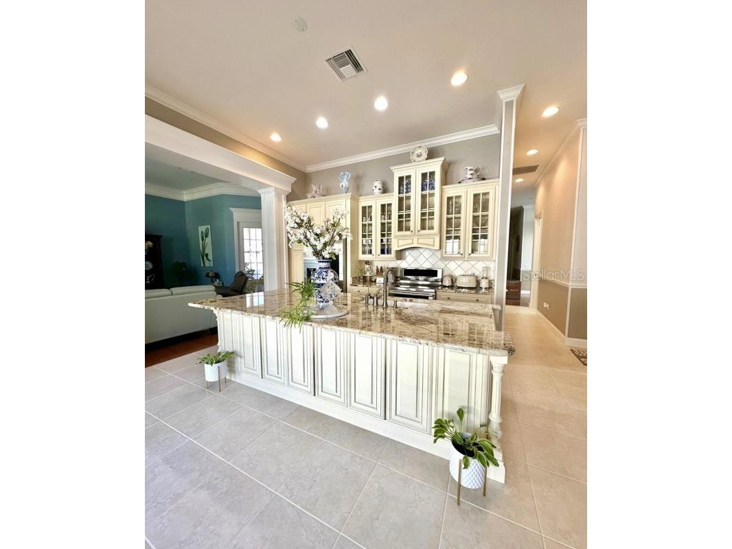 539 Dowling Circle Lady Lake FL 32159 A4680548 image4