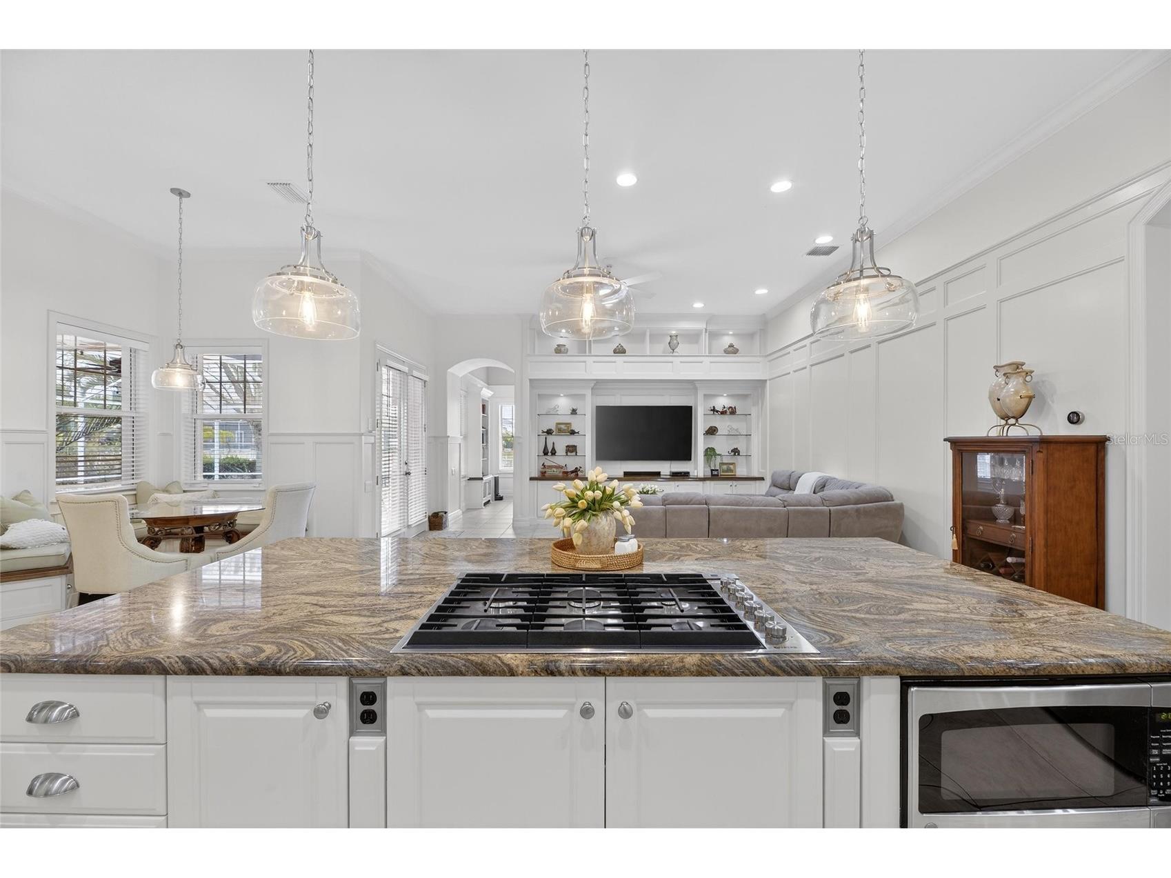 539 Islebay Drive Apollo Beach FL 33572 - BISCAYNE CANAL TB8448327 image48