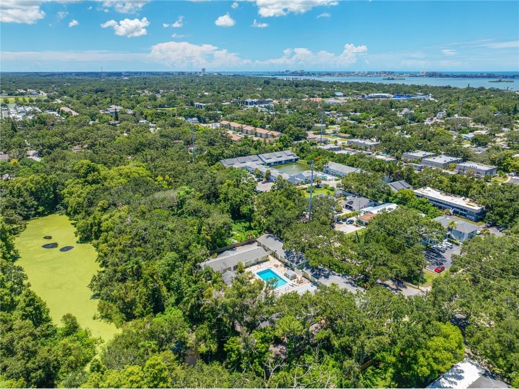 539 New York Avenue Dunedin FL 34698 TB8427777 image16