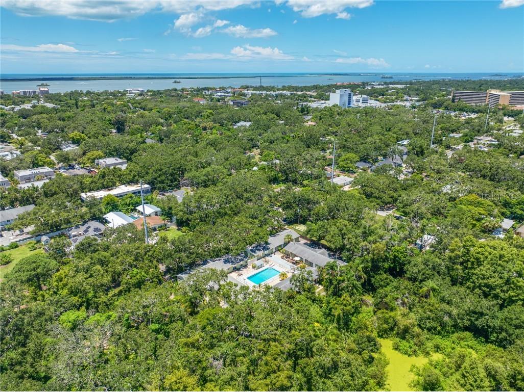 539 New York Avenue Dunedin FL 34698 TB8427777 image17