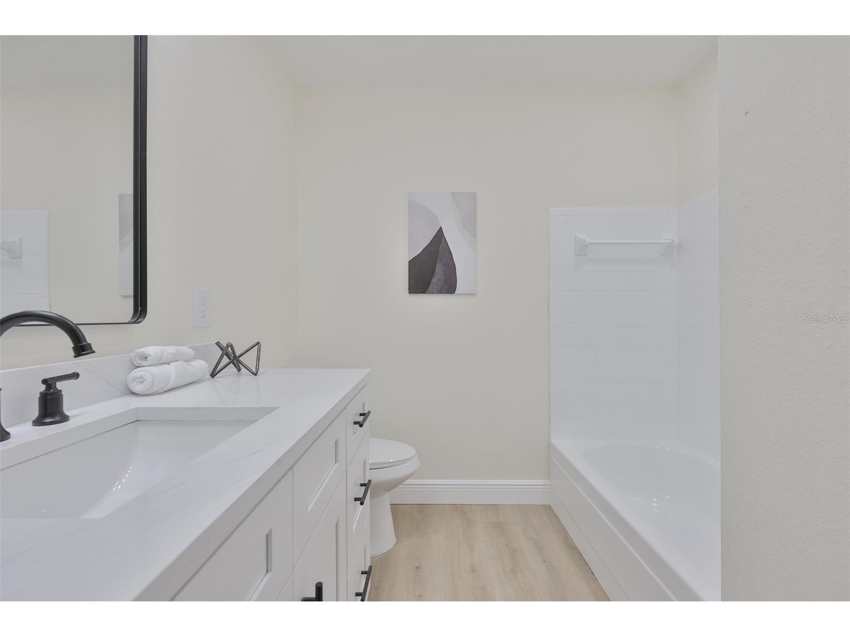 539 Red Mangrove Lane Apollo Beach FL 33572 TB8494780 image22