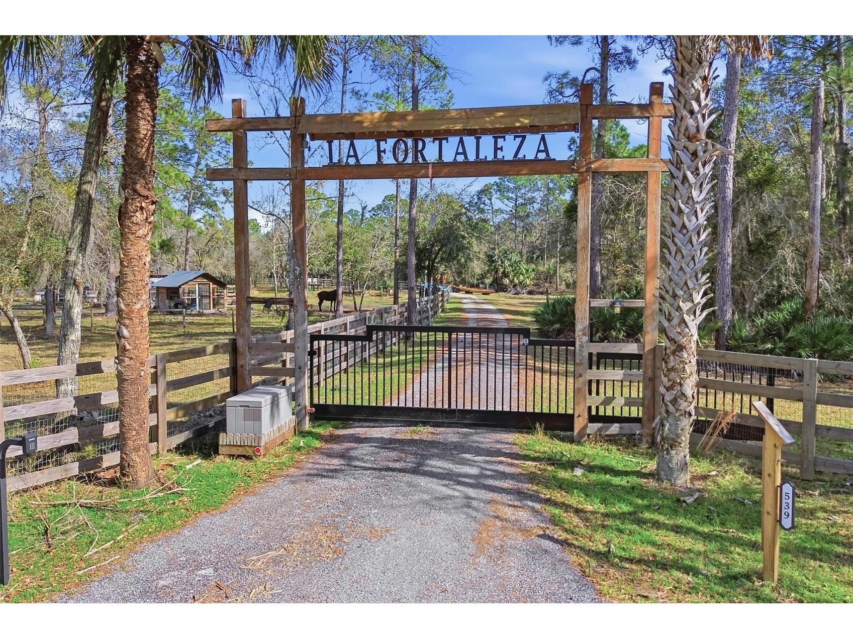 539 Tabatha Drive Osteen FL 32764 - MUD LAKE/ST JOH'S RIVER V4947521 image2
