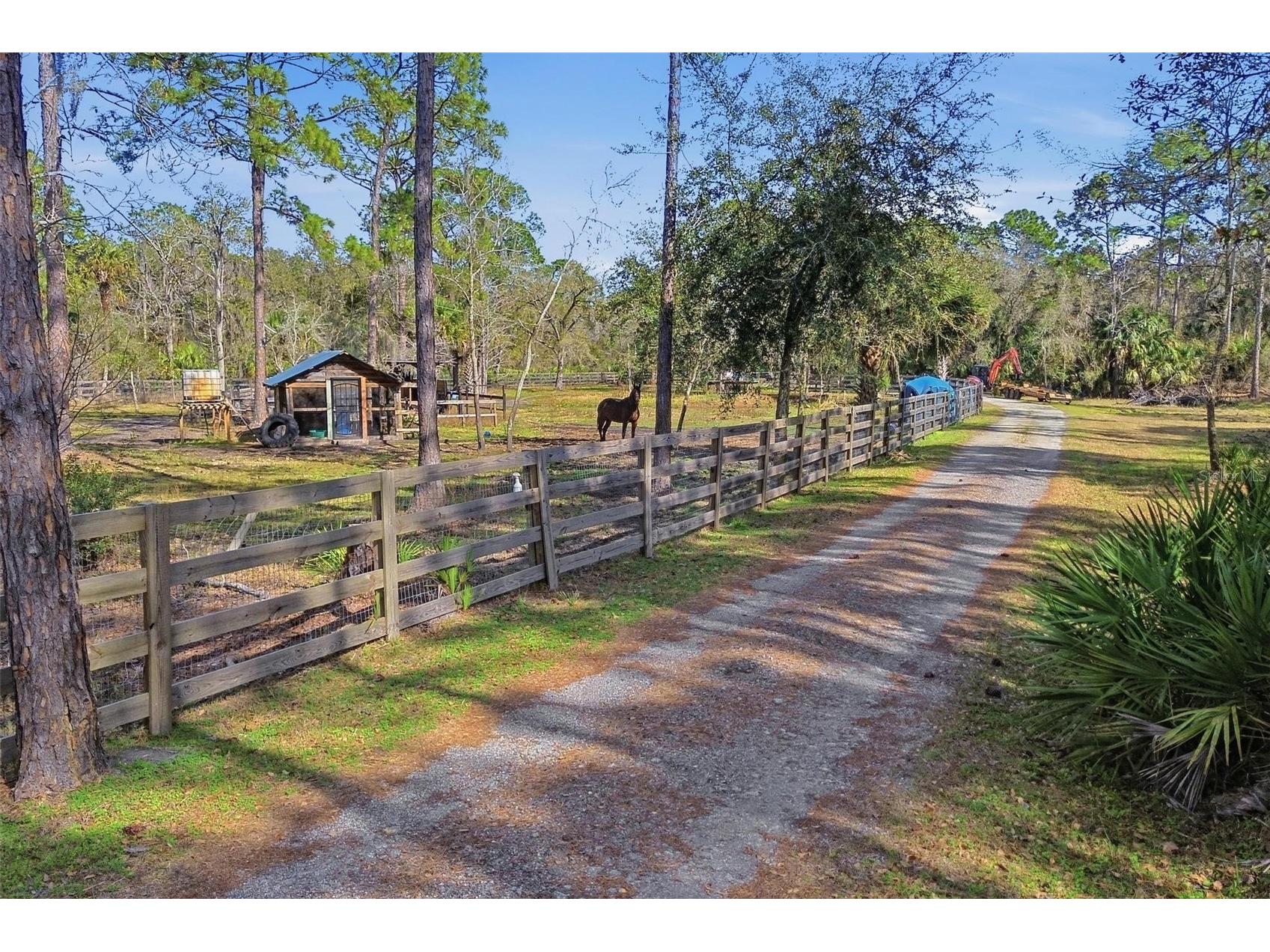 539 Tabatha Drive Osteen FL 32764 - MUD LAKE/ST JOH'S RIVER V4947521 image3