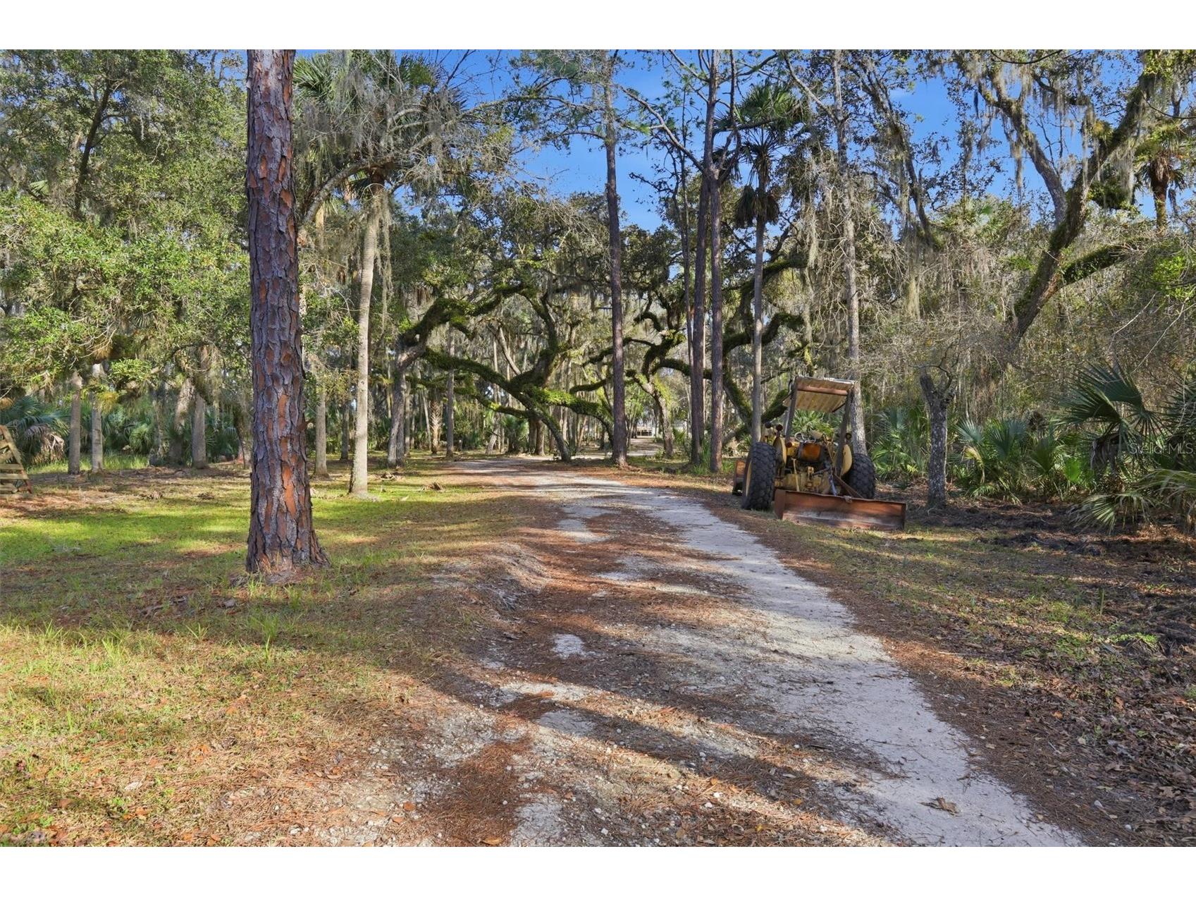 539 Tabatha Drive Osteen FL 32764 - MUD LAKE/ST JOH'S RIVER V4947521 image4