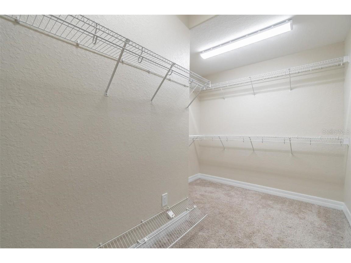 539 Treviso Drive Apollo Beach FL 33572 TB8375443 image17