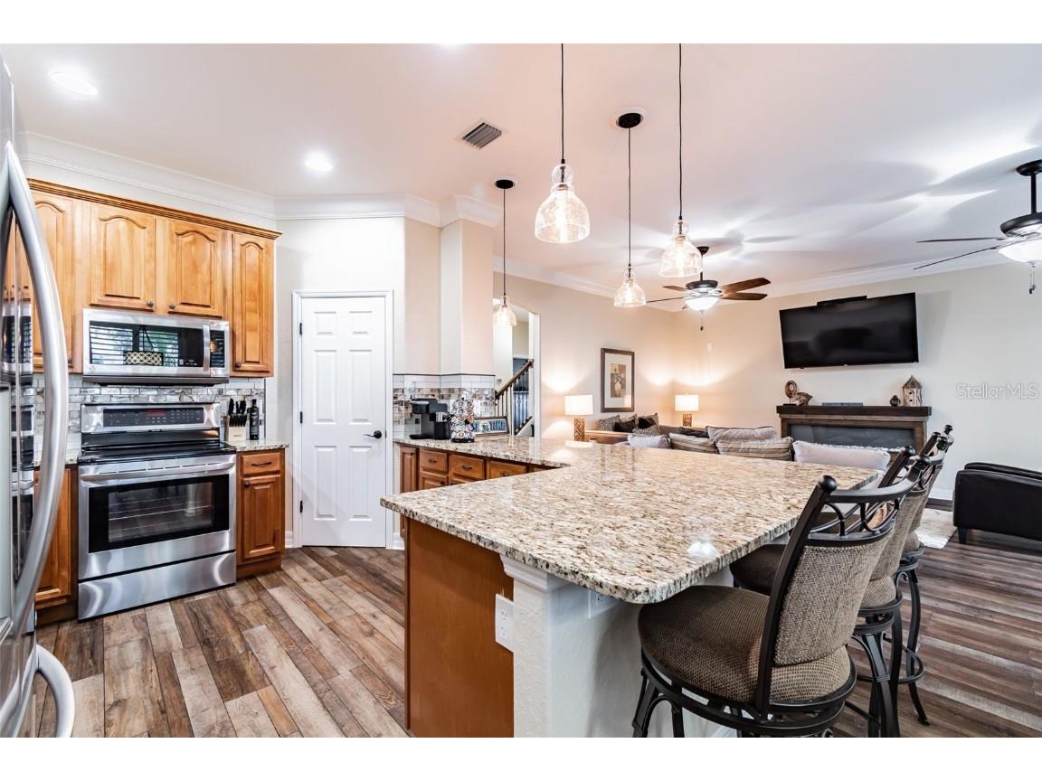 539 Treviso Drive Apollo Beach FL 33572 TB8402137 image8