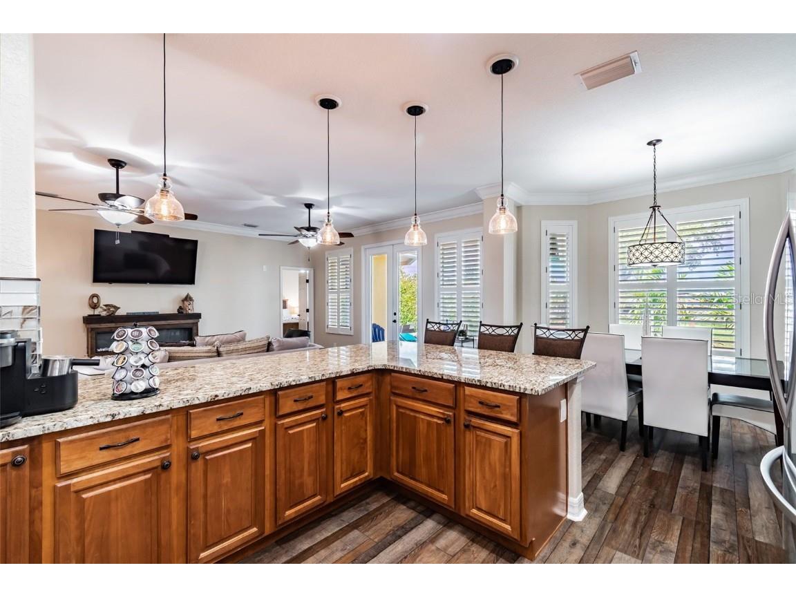 539 Treviso Drive Apollo Beach FL 33572 TB8402137 image9