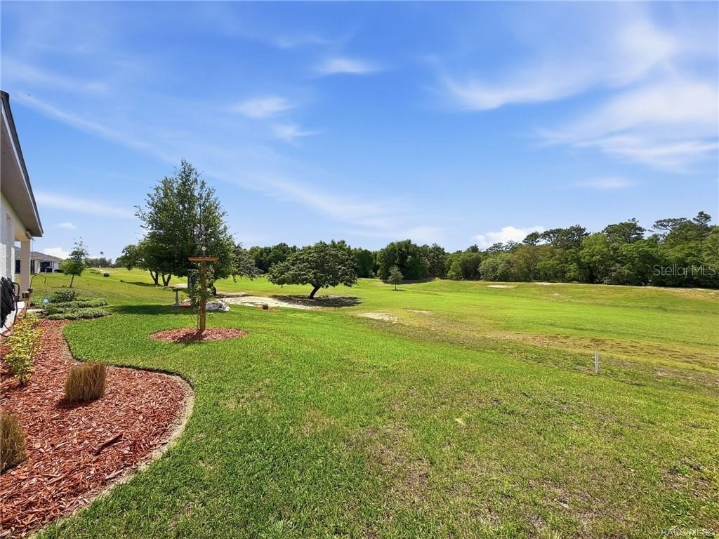 539 W Back Nine Circle Beverly Hills FL 34465 W7885243 image65