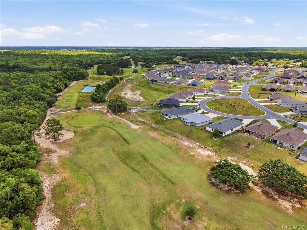 539 W Back Nine Circle Beverly Hills FL 34465 W7885243 image90