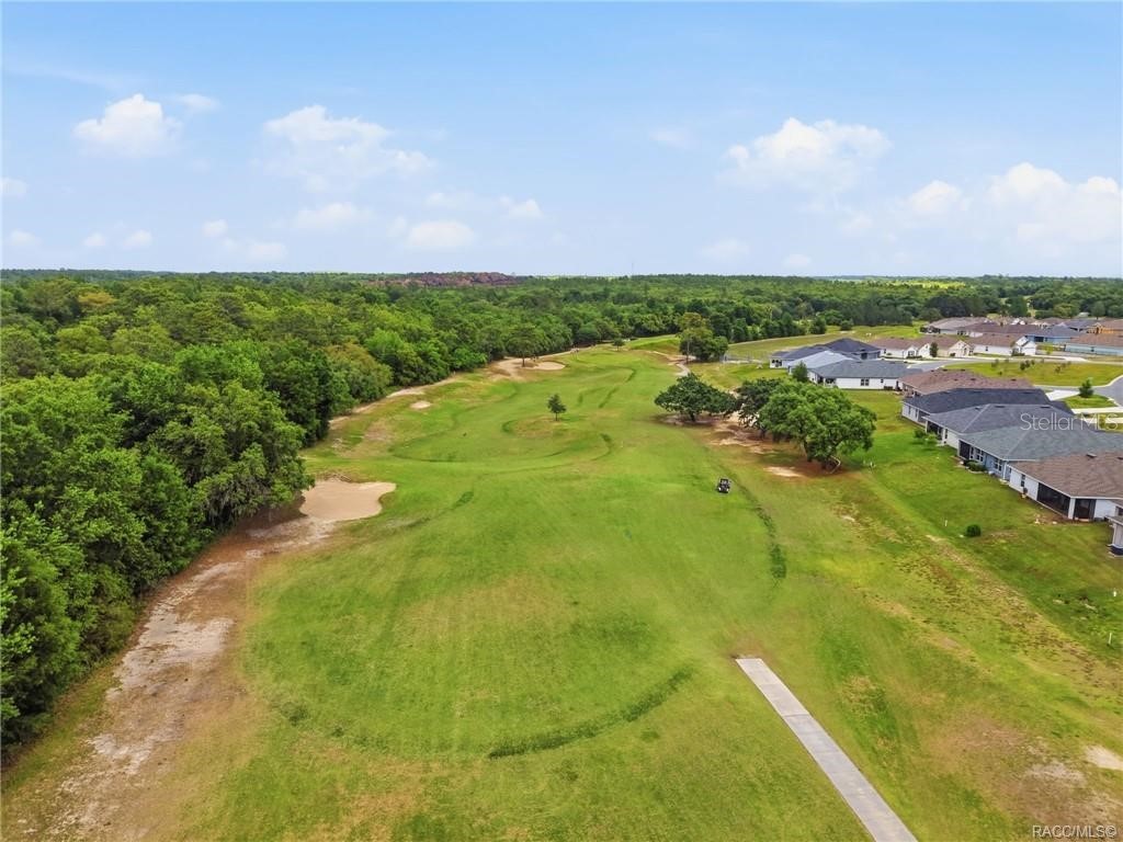 539 W Back Nine Circle Beverly Hills FL 34465 W7885243 image91