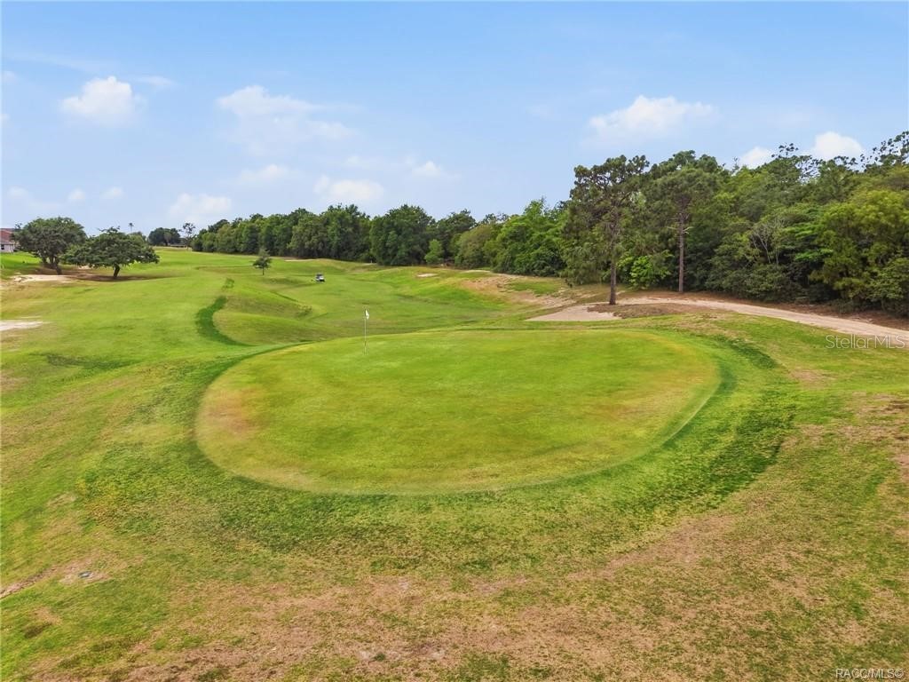 539 W Back Nine Circle Beverly Hills FL 34465 W7885243 image93