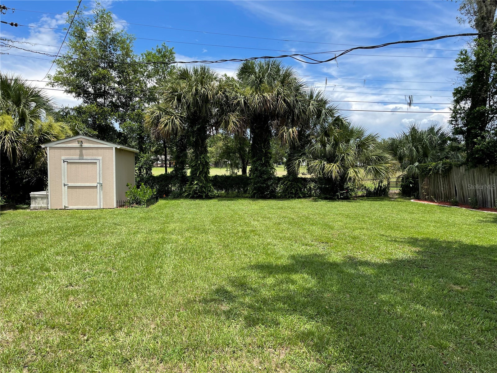 539 W Belvedere Street Lakeland FL 33803 L4959478 image3