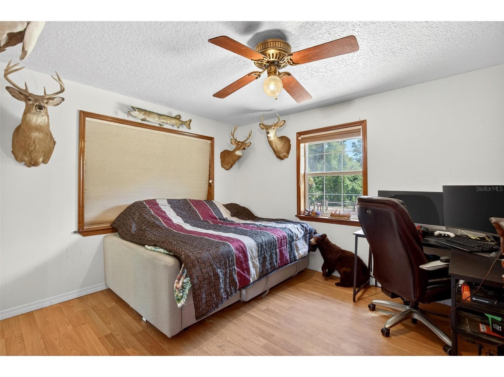 5390 East Avenue De Leon Springs FL 32130 V4949158 image32