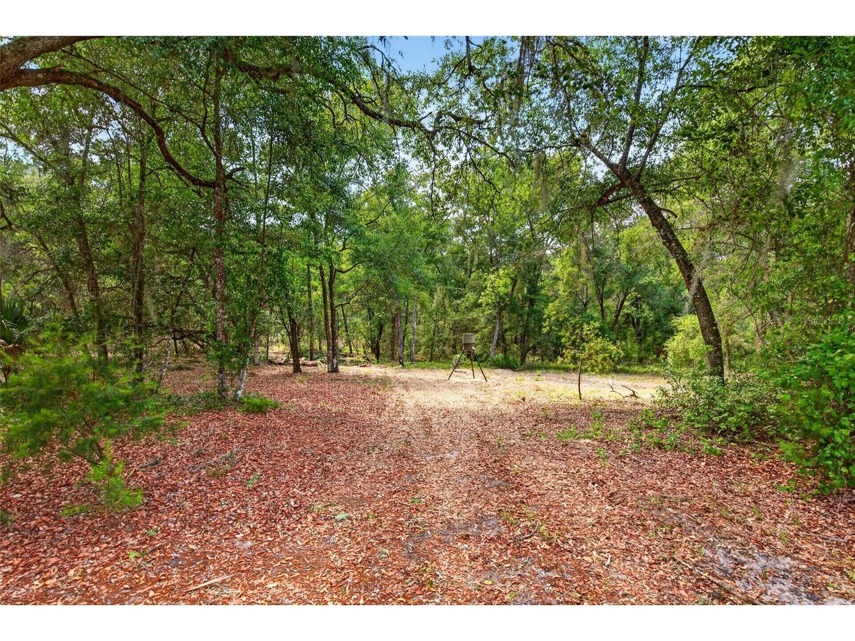 5390 East Avenue De Leon Springs FL 32130 V4949158 image36