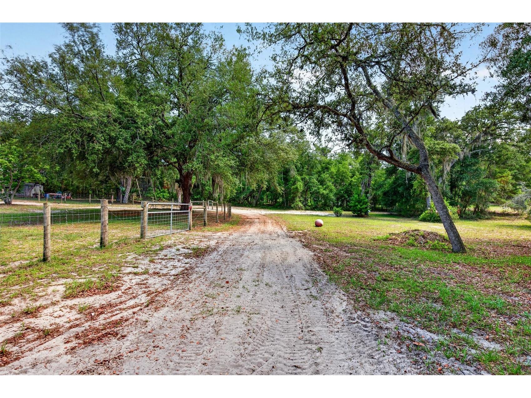 5390 East Avenue De Leon Springs FL 32130 V4949158 image38