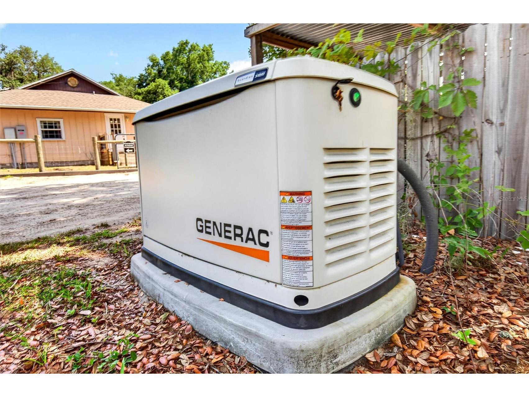 5390 East Avenue De Leon Springs FL 32130 V4949158 image64
