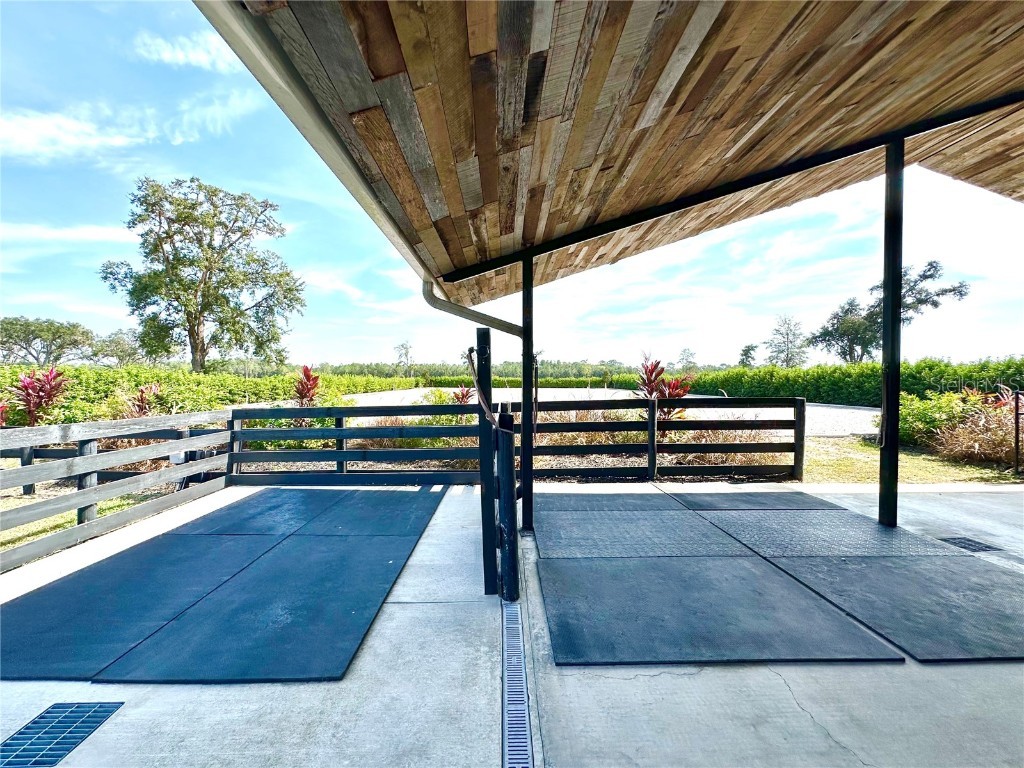 5391 NW 153rd Court Morriston FL 32668 OM699807 image16