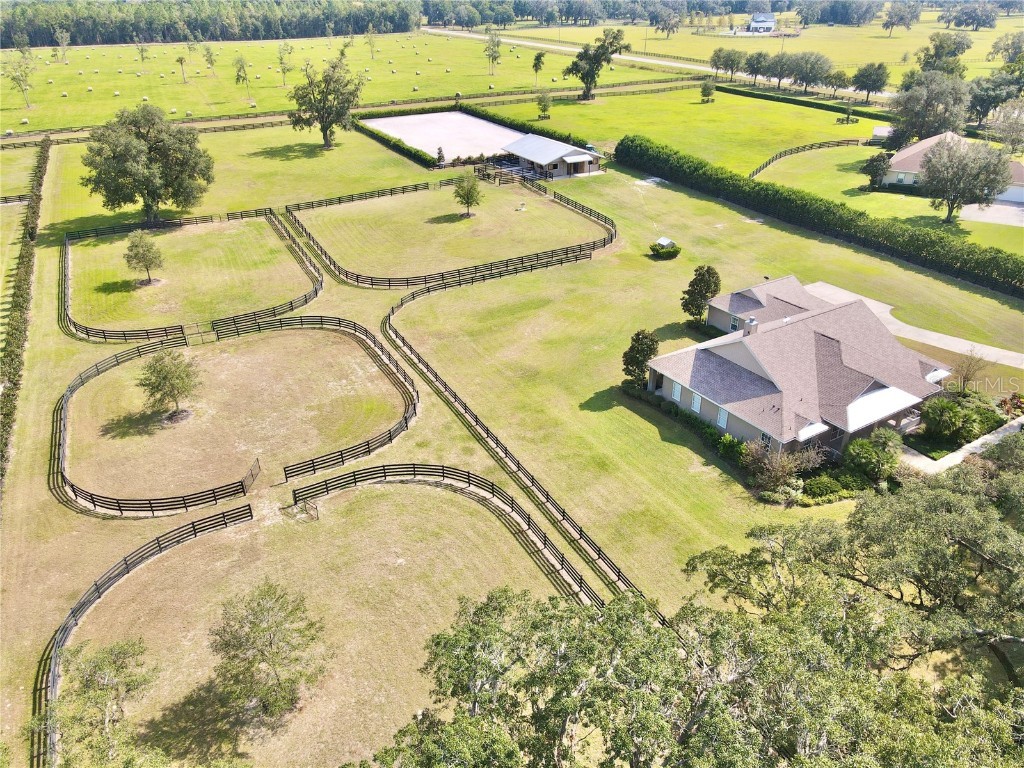 5391 NW 153rd Court Morriston FL 32668 OM699807 image3