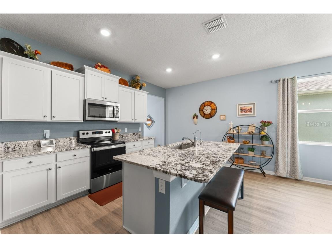 5395 Sunshine Drive Wildwood FL 34785 O6315811 image12