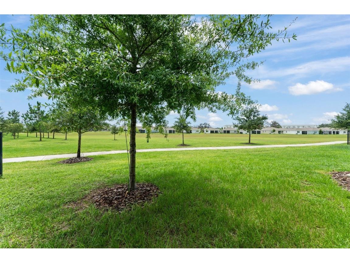 5395 Sunshine Drive Wildwood FL 34785 O6315811 image28