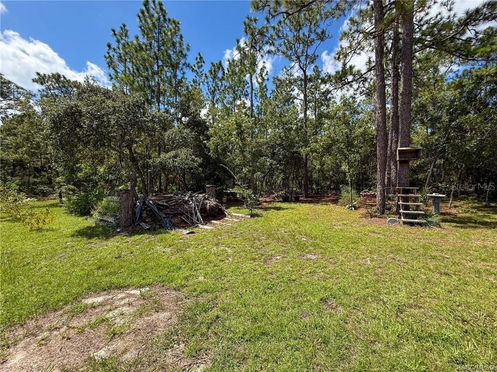 5396 W Pine Ridge Boulevard Beverly Hills FL 34465 W7878107 image73