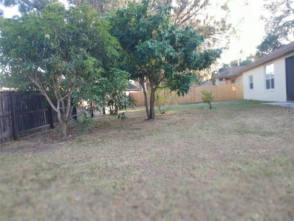 5398 Oxford Manor Circle Lakeland FL 33810 O6363717 image14