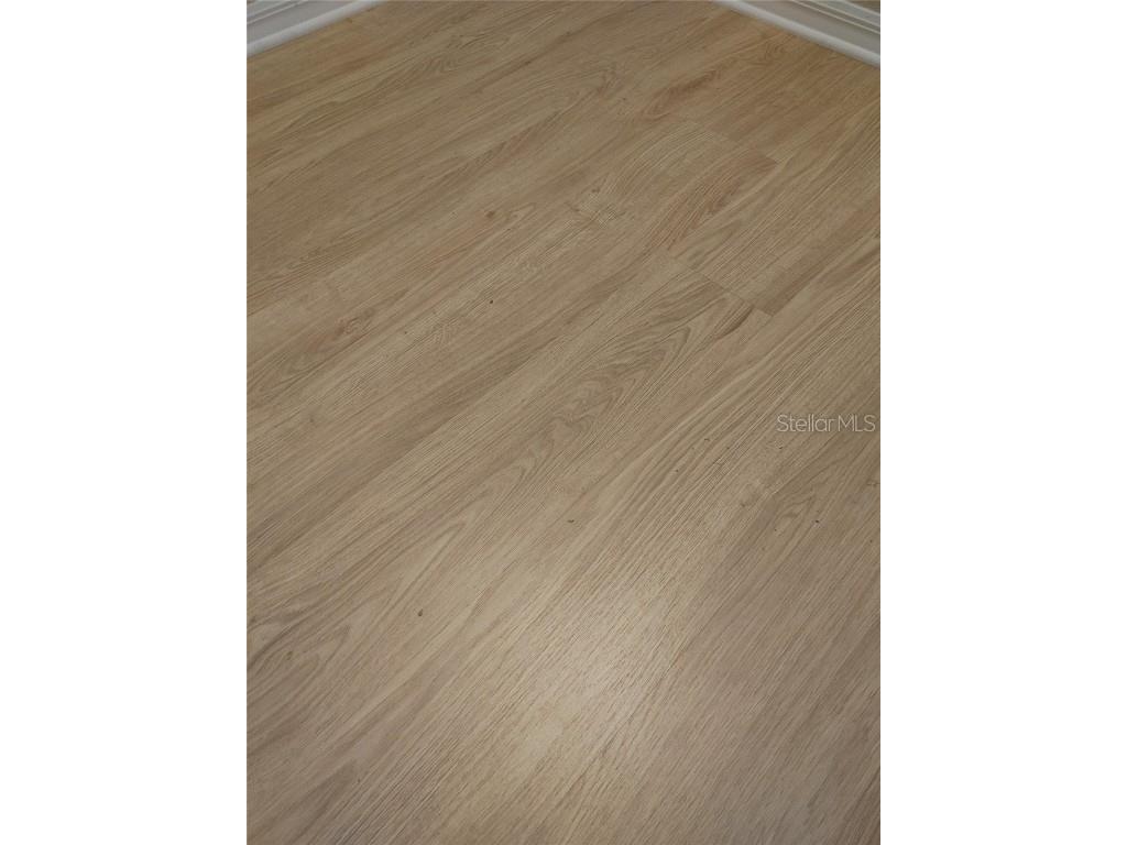 5398 Oxford Manor Circle Lakeland FL 33810 O6363717 image58