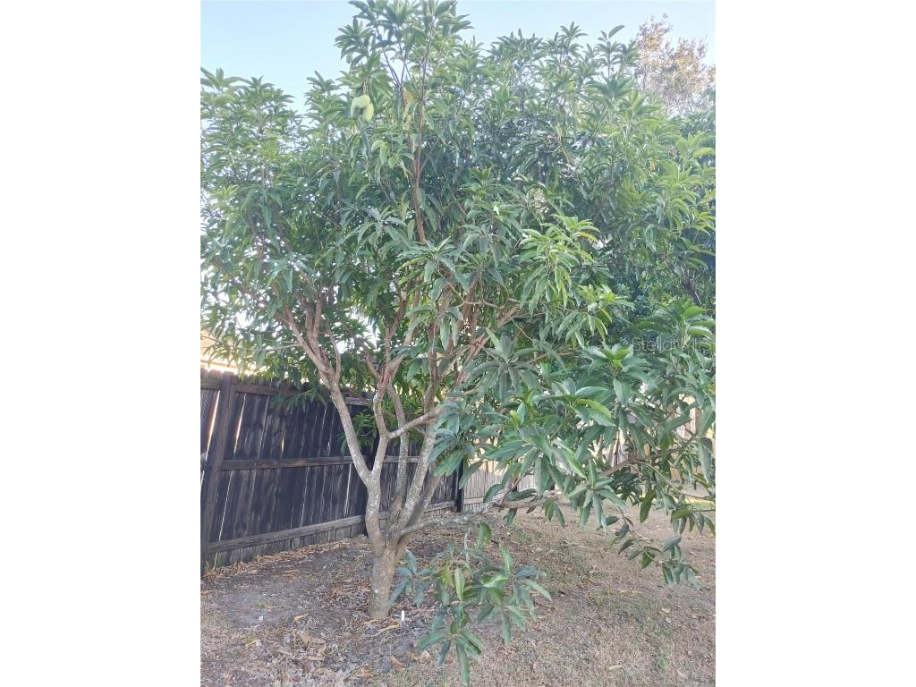 5398 Oxford Manor Circle Lakeland FL 33810 O6363717 image76