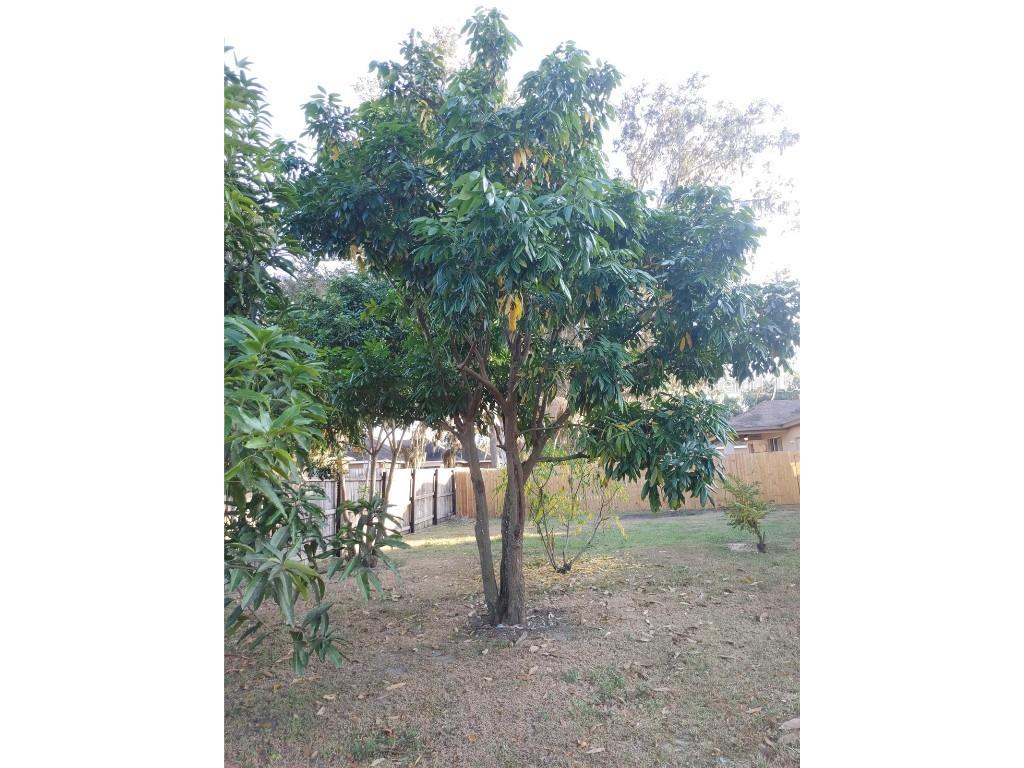 5398 Oxford Manor Circle Lakeland FL 33810 O6363717 image77