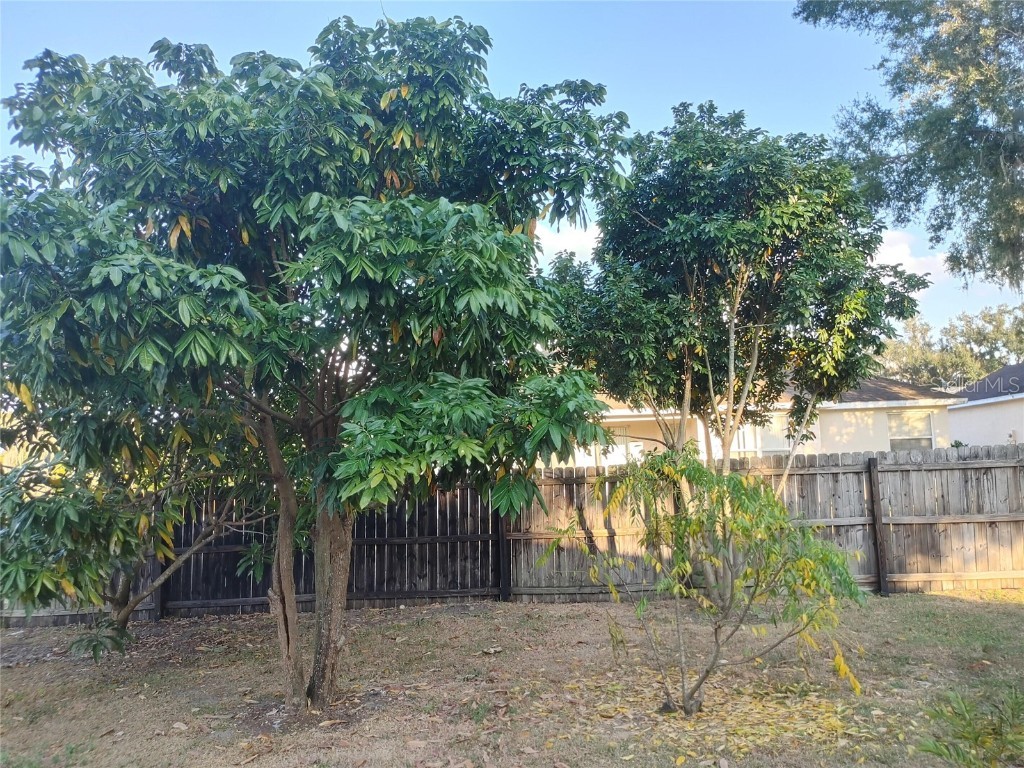 5398 Oxford Manor Circle Lakeland FL 33810 O6363717 image78