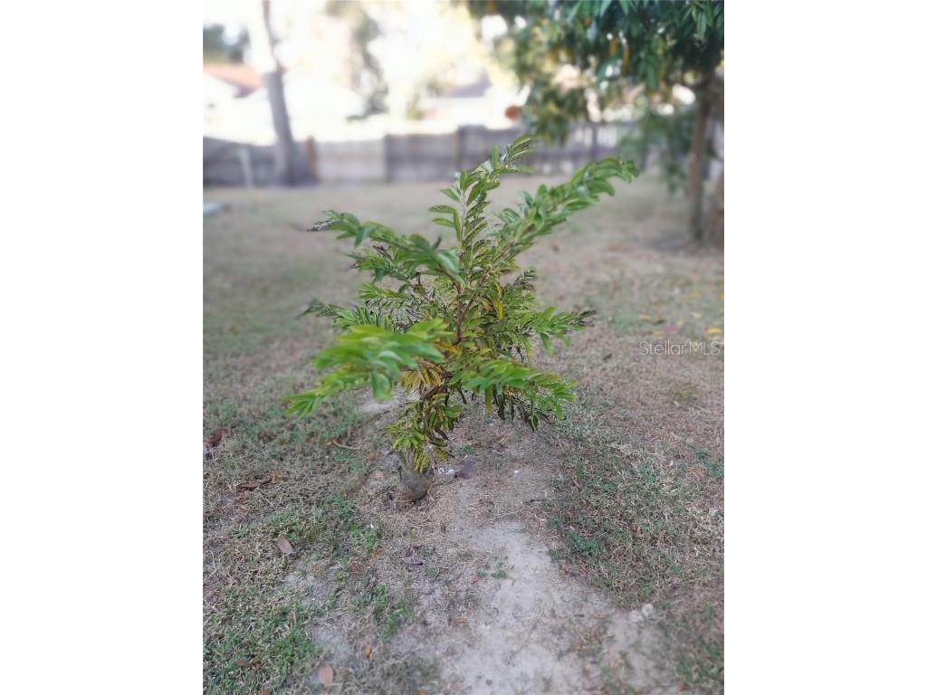 5398 Oxford Manor Circle Lakeland FL 33810 O6363717 image83