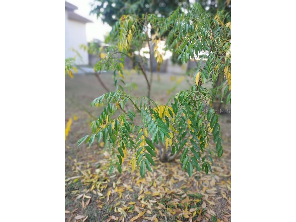 5398 Oxford Manor Circle Lakeland FL 33810 O6363717 image85