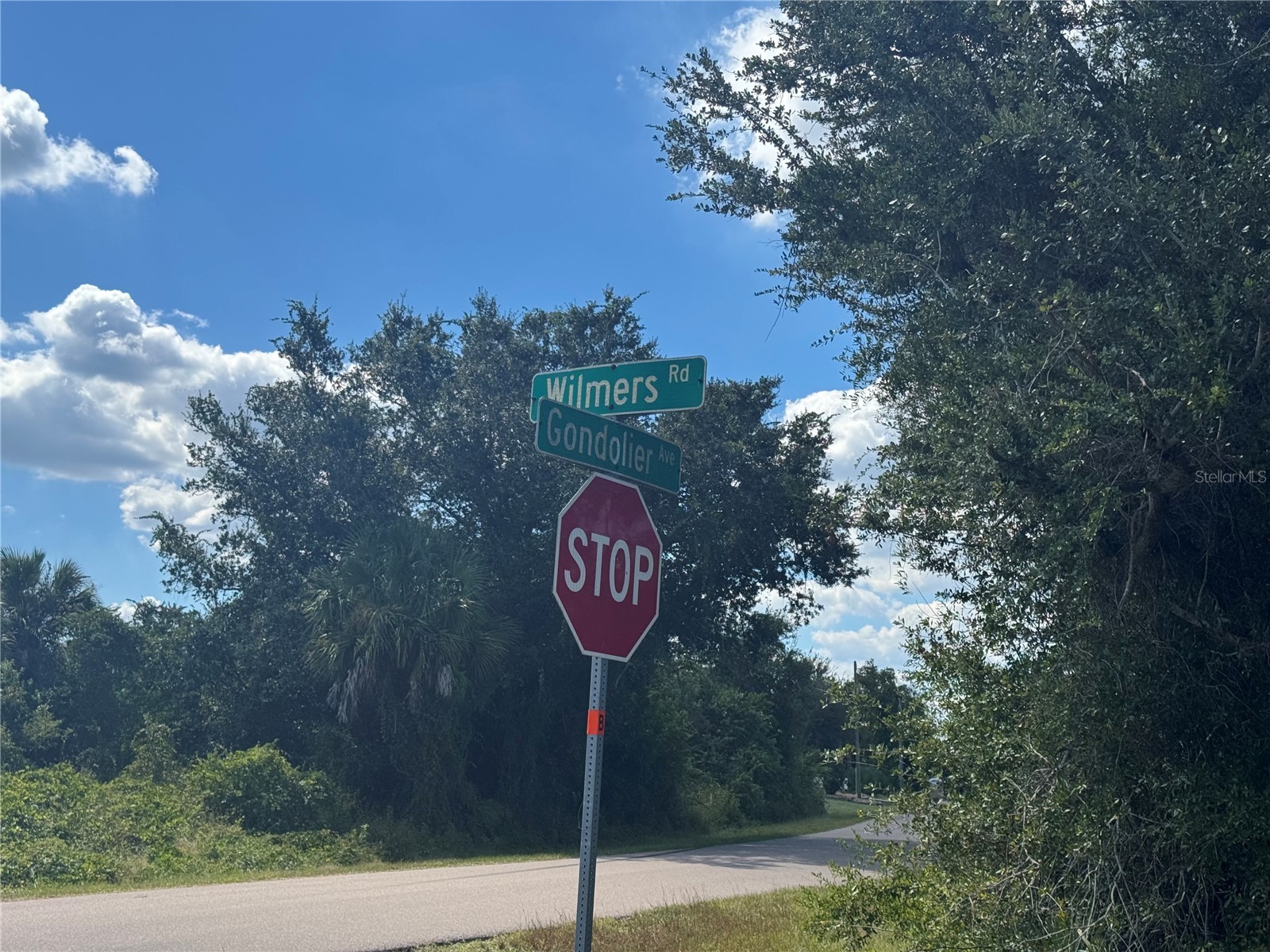 54 46 38 Wilmers Road Punta Gorda FL 33982 A4668924 image13