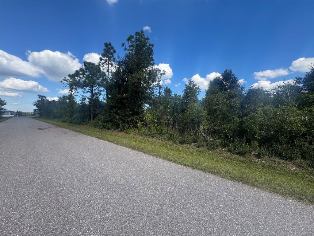 54 46 38 Wilmers Road Punta Gorda FL 33982 A4668924 image3